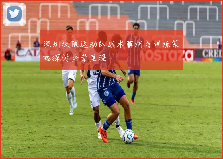深圳极限运动队战术解析与训练策略探讨全景呈现
