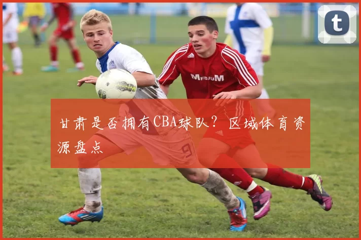 甘肃是否拥有CBA球队？区域体育资源盘点