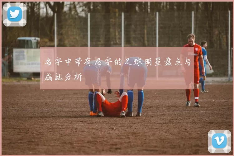 名字中带有尼字的足球明星盘点与成就分析