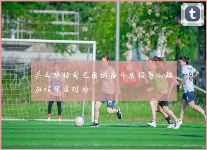 乒乓球传奇王丽的奋斗历程与心路历程深度对话
