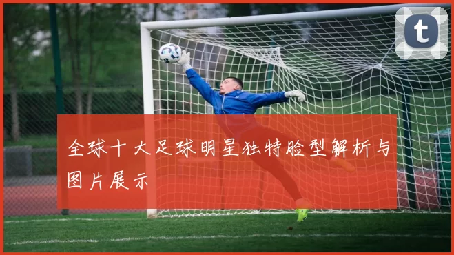 全球十大足球明星独特脸型解析与图片展示