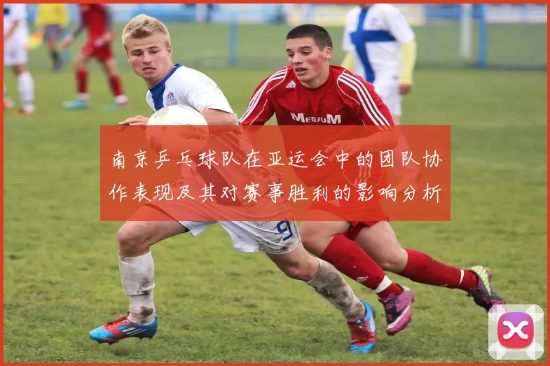 南京乒乓球队在亚运会中的团队协作表现及其对赛事胜利的影响分析