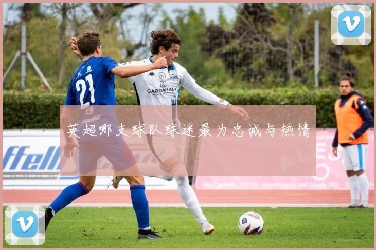 英超哪支球队球迷最为忠诚与热情
