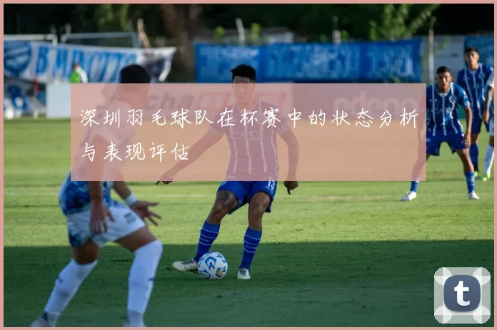 深圳羽毛球队在杯赛中的状态分析与表现评估