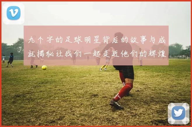 九个字的足球明星背后的故事与成就揭秘让我们一起走近他们的辉煌人生