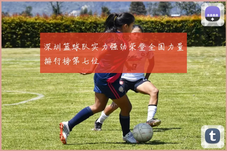 深圳篮球队实力强劲荣登全国力量排行榜第七位