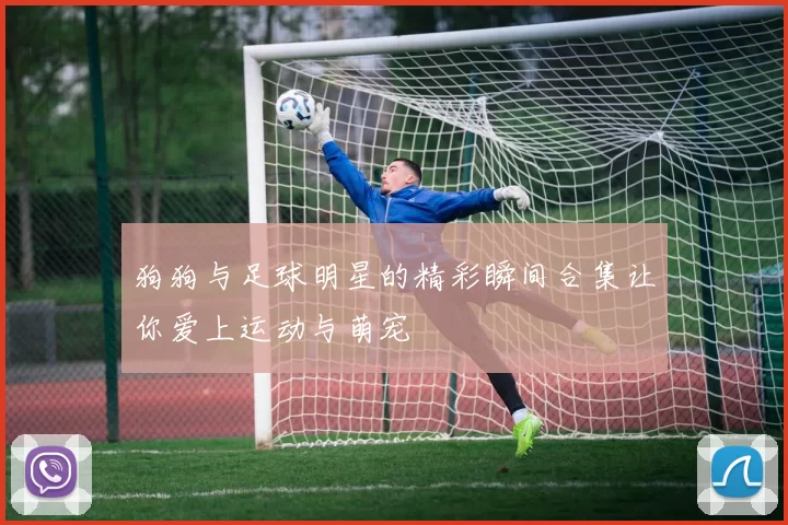 狗狗与足球明星的精彩瞬间合集让你爱上运动与萌宠
