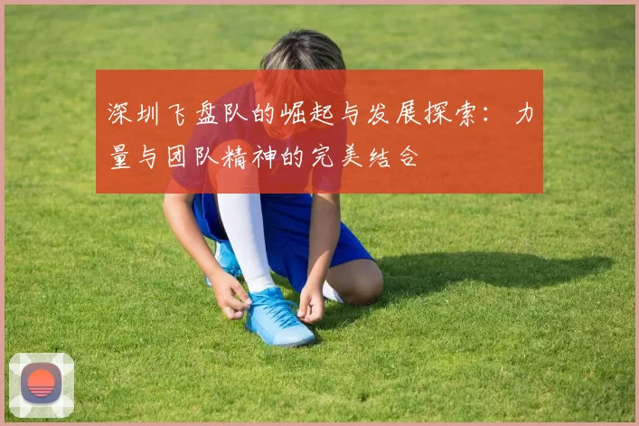 深圳飞盘队的崛起与发展探索：力量与团队精神的完美结合