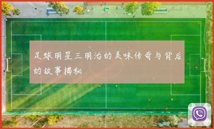 足球明星三明治的美味传奇与背后的故事揭秘