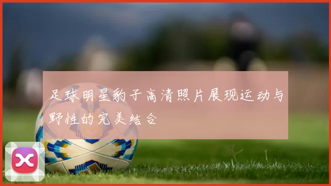足球明星豹子高清照片展现运动与野性的完美结合
