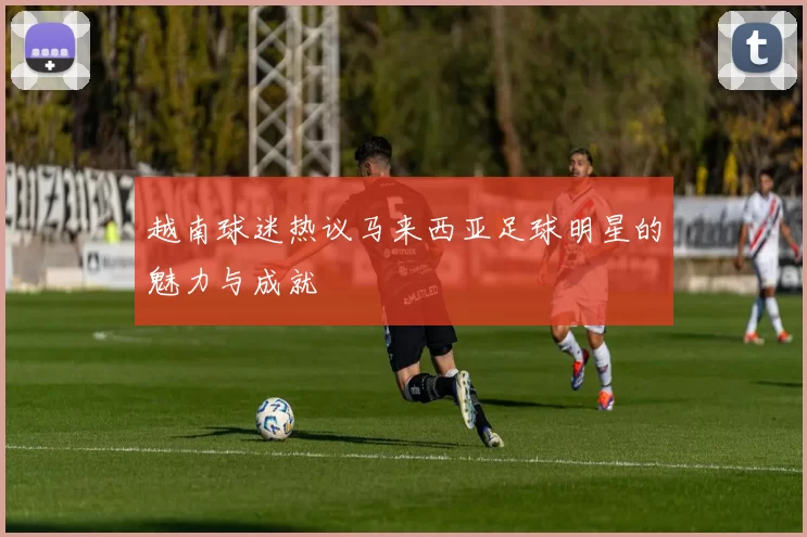 越南球迷热议马来西亚足球明星的魅力与成就
