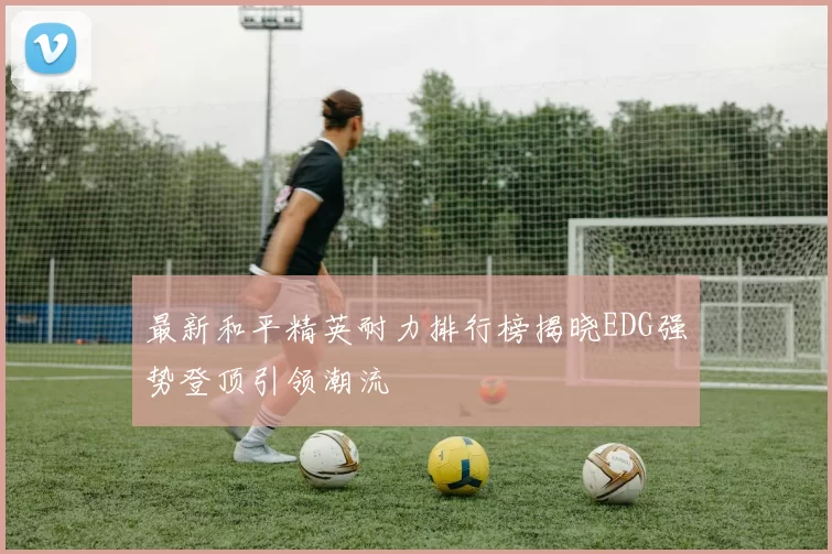 最新和平精英耐力排行榜揭晓EDG强势登顶引领潮流