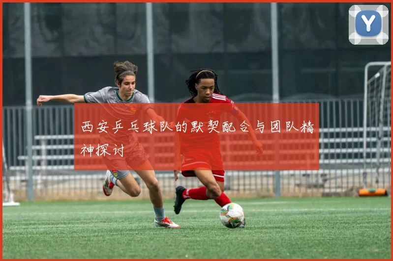 西安乒乓球队的默契配合与团队精神探讨