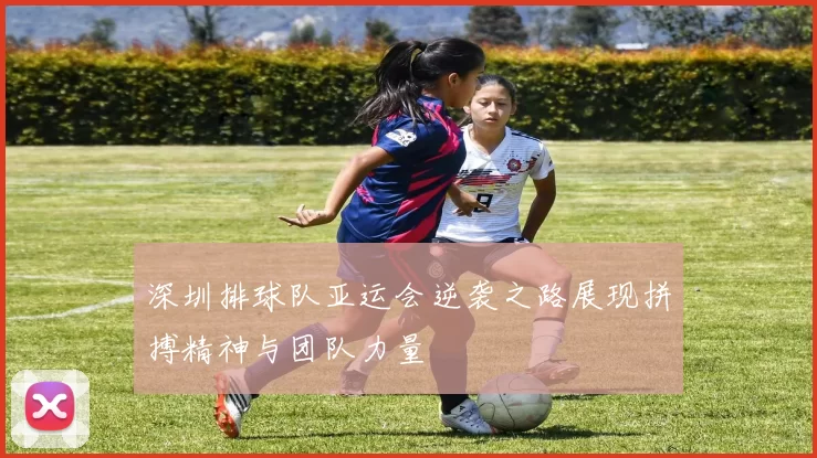 深圳排球队亚运会逆袭之路展现拼搏精神与团队力量