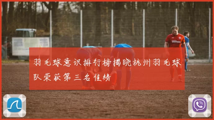 羽毛球意识排行榜揭晓杭州羽毛球队荣获第三名佳绩